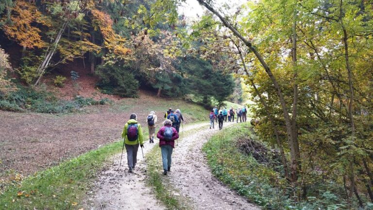 Folk en montagne 18sep2025
